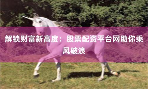 解锁财富新高度：股票配资平台网助你乘风破浪