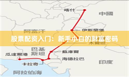 股票配资入门：新手小白的财富密码
