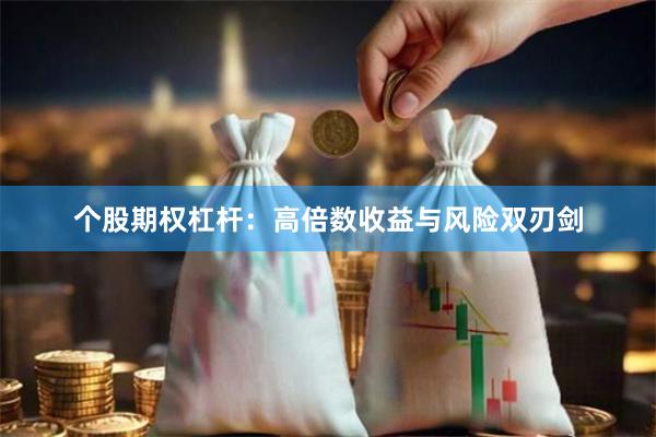 个股期权杠杆：高倍数收益与风险双刃剑