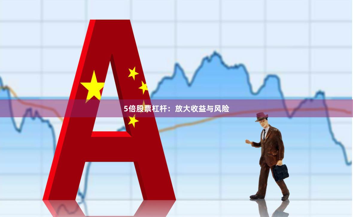 5倍股票杠杆：放大收益与风险