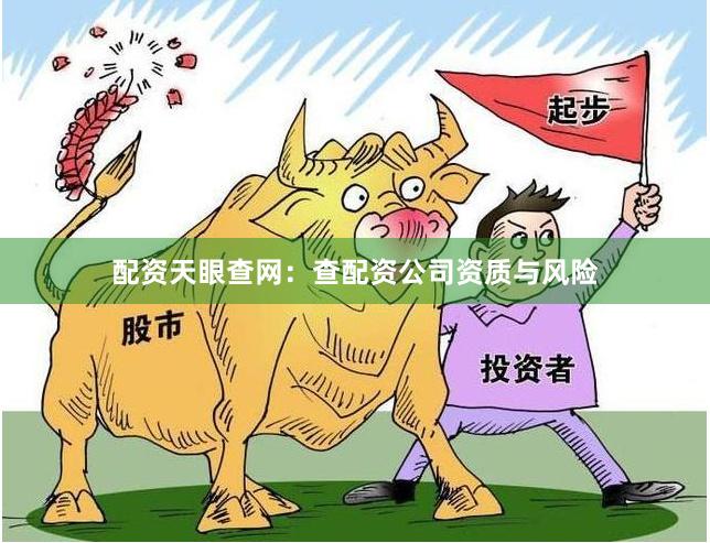 配资天眼查网：查配资公司资质与风险